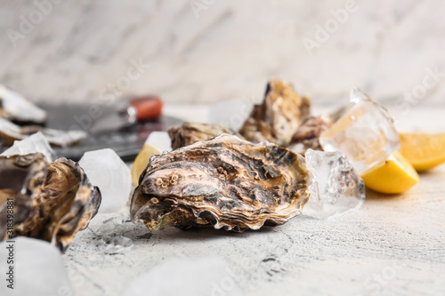 Tasty cold oysters on white background © Pixel-Shot
