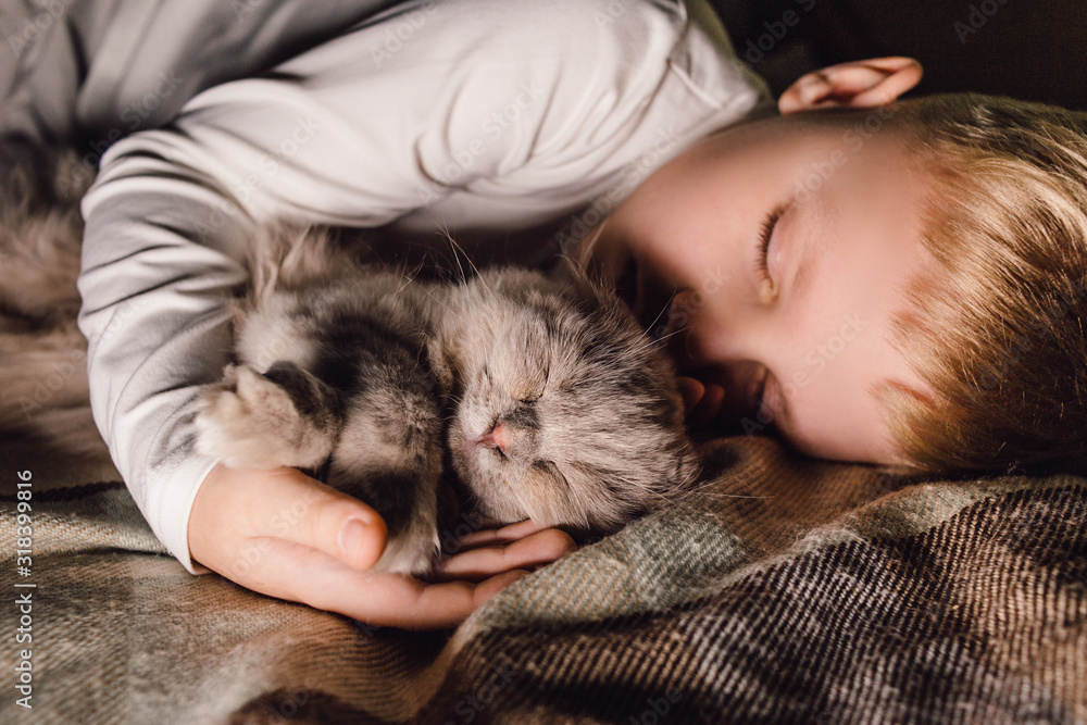 Boy and cat. Scottish fold cat in the arms of a boy. The concept of a pet in family education and a loving home. Horizontal. Boy and cat. Scottish fold cat in the arms of a boy. The concept of a pet in family education and a loving home. Horizontal.