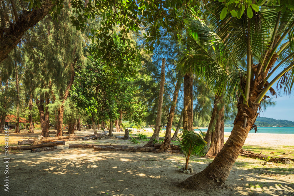 Obraz premium Exotic tropical beach.