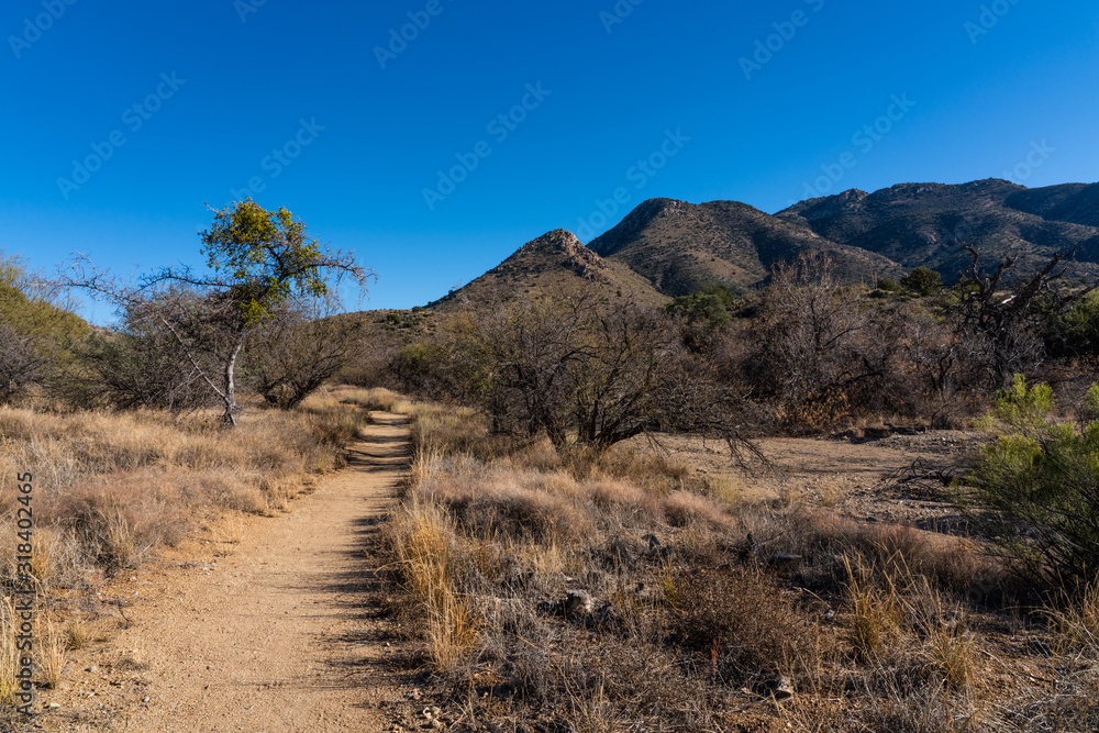 hiking path through Fort Bowie National Historic Park with mountains, dirt path and dry vegetation