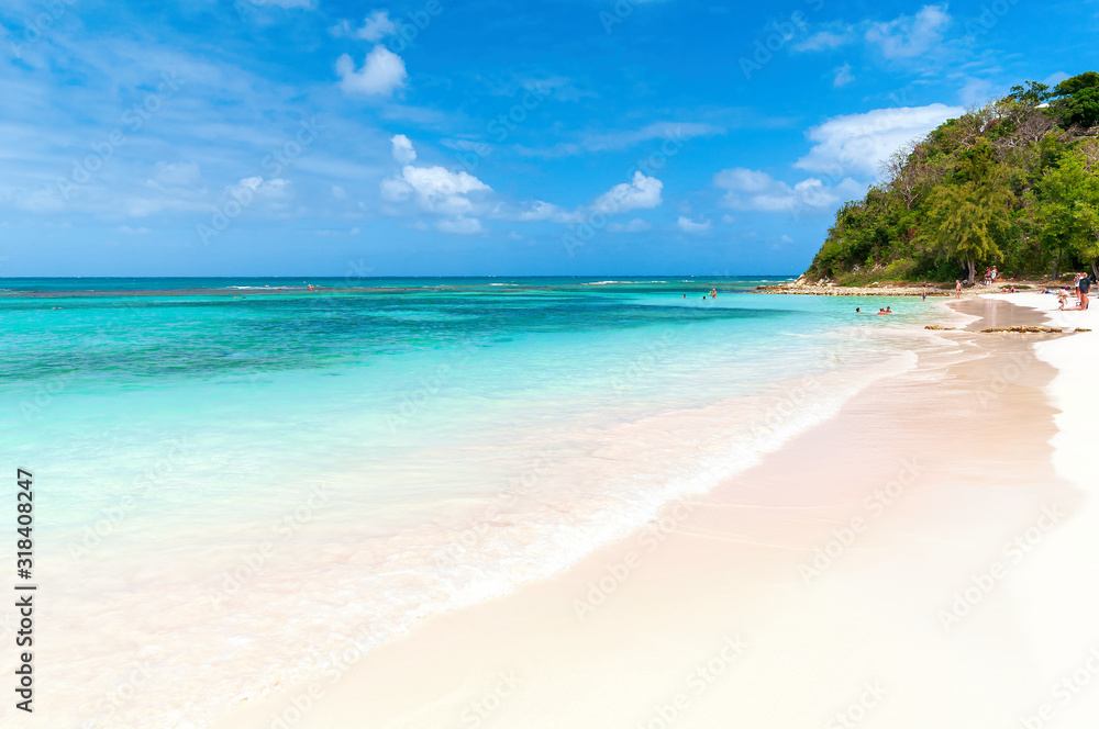 Long bay Atlantic coast - Caribbean tropical sea - Antigua and Barbuda.