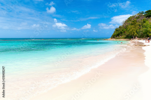 Fototapeta Naklejka Na Ścianę i Meble -  Long bay Atlantic coast - Caribbean tropical sea - Antigua and Barbuda.