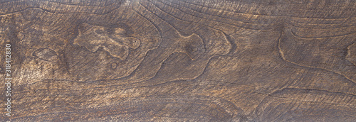 texture of bark wood use as natural background