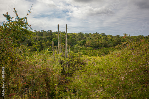 Cotubanama National Park in Dominican Republic 28 photo