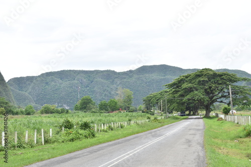 Landscape with a road and mountain background in VInales