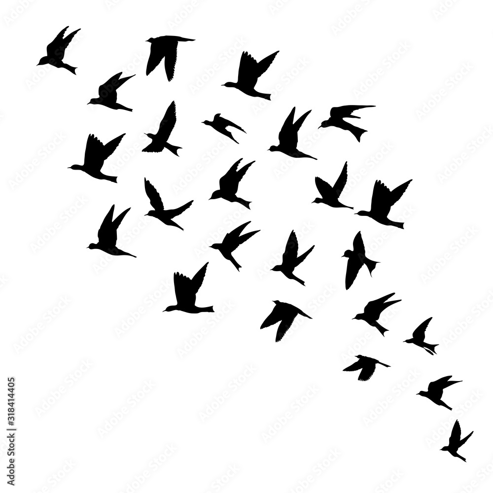 Silhouette of flying birds on white background. Inspirational body flash tattoo ink. Vector.