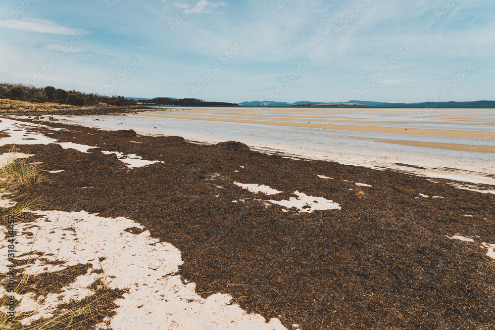landscape of Dunalley Beach in the Tasman Peninsula in Tasmania landscape of Dunalley Beach in the Tasman Peninsula in Tasmania