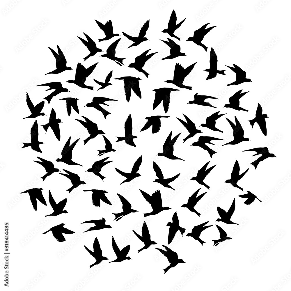 Silhouette of flying birds on white background. Inspirational body flash tattoo ink. Vector. Silhouette of flying birds on white background. Inspirational body flash tattoo ink. Vector.