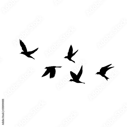Canvas-taulu Silhouette of flying birds on white background