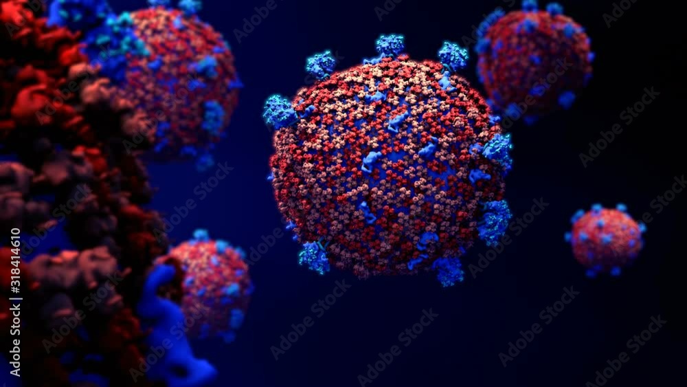 Coronavirus, nCoV respiratory virus, SARS, MERS Coronavirus, nCoV respiratory virus, SARS, MERS