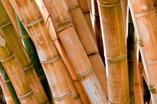 Tela Full Frame Shot Of Bamboos