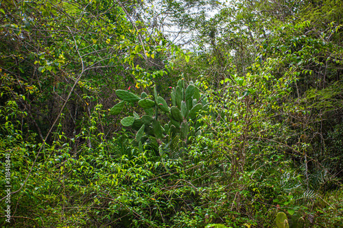 Cotubanama National Park in Dominican Republic 15 photo