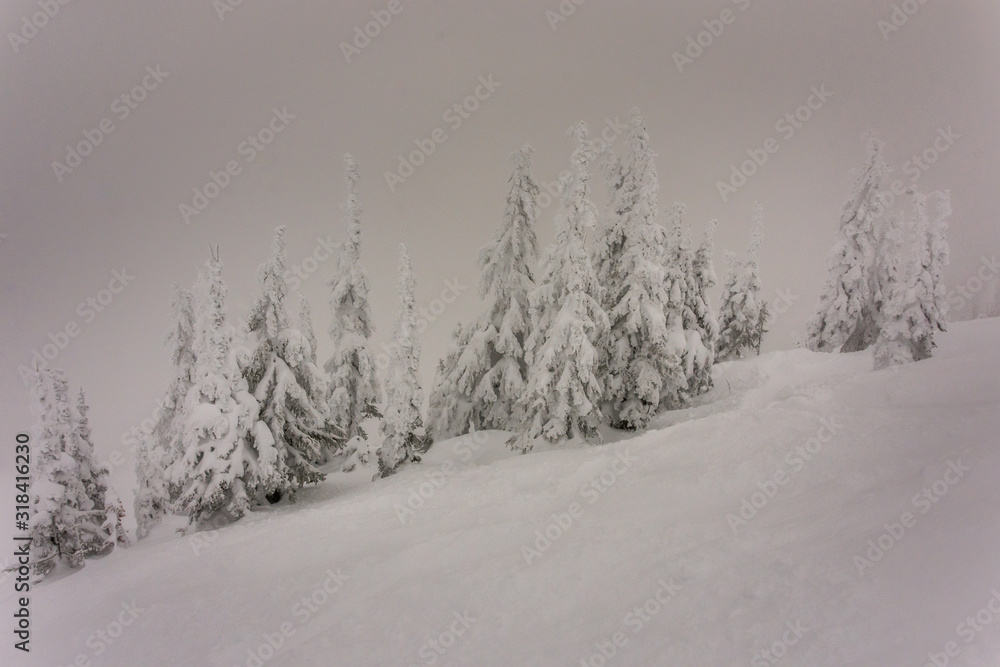 Nice day for skiing in the mountains Nice day for skiing in the mountains