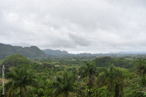 Landscape with many palm trees and mountains from Hotel de los Jazmines in Vinales