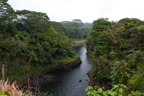 View at Wailuku river from the top of Rainbow falls surrounded by a green lush forest, Big Island, Hawaii