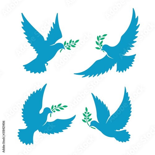 Flying pigeon with olive branch