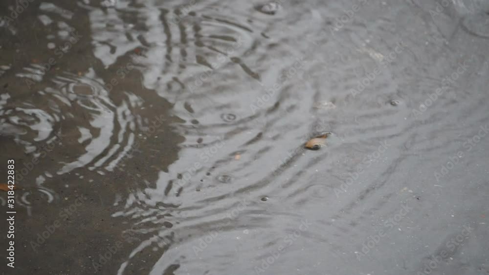 Slow Motion. A close up view of raindrops falling on a puddle. Slow Motion. A close up view of raindrops falling on a puddle.