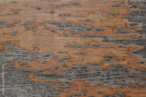 wood board texture weathered background