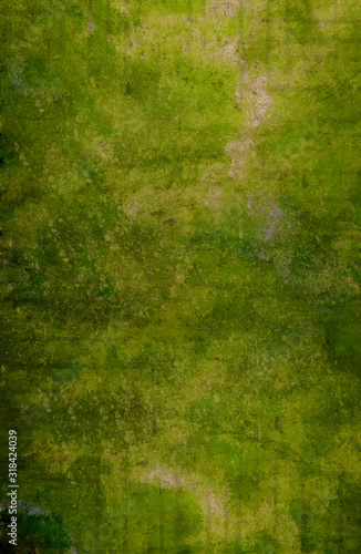 Green grunge texture