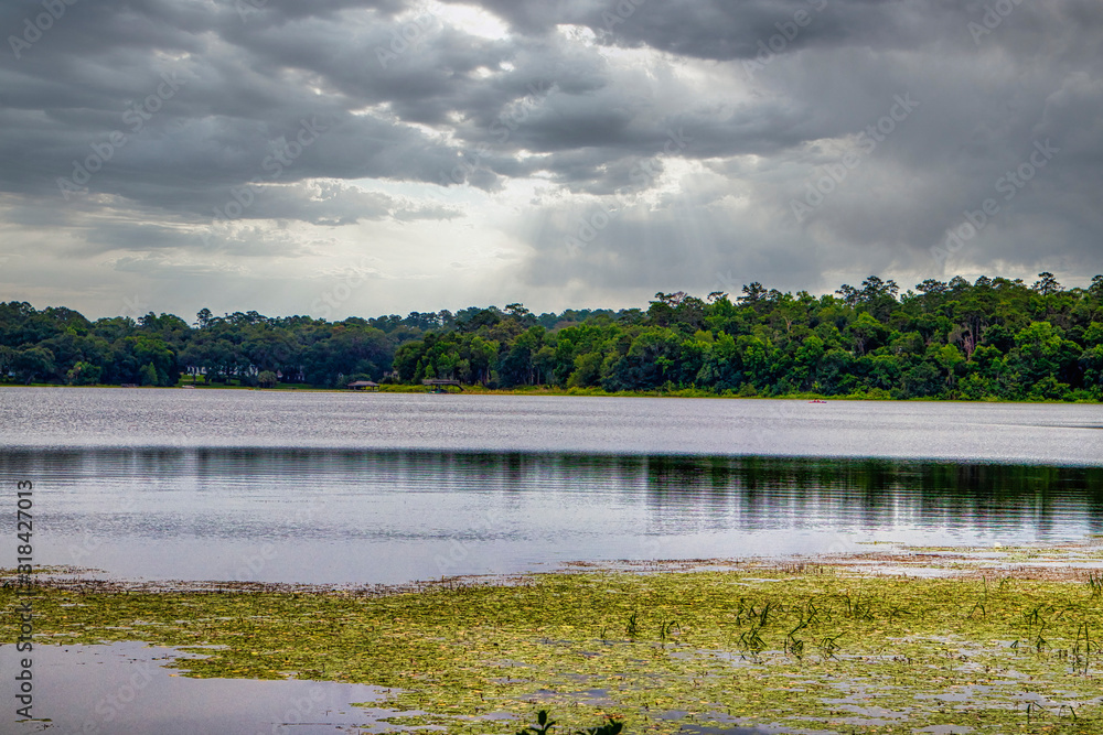 Obraz premium Beautiful and Relaxing scenery in a natural park