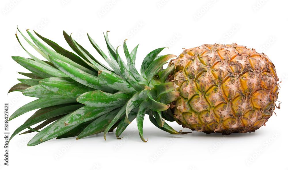 Ripe pineapple isolated on white with clipping path. Ripe pineapple isolated on white with clipping path.