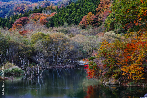 秋の湖の風景です（日本の宮城県）