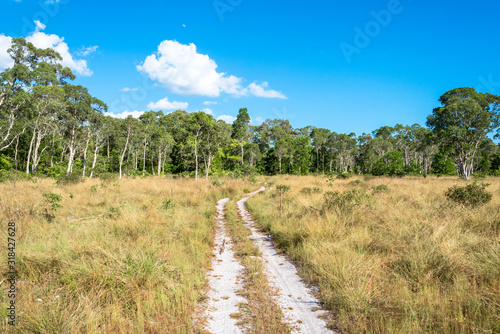 The Mu Ko Lanta National Park on the island Ko Lanta Noi, the northern part of the Lanta island district. The park includes broadleaf forest, mangrooves woods, tree-covered hills and tropical jungle photo