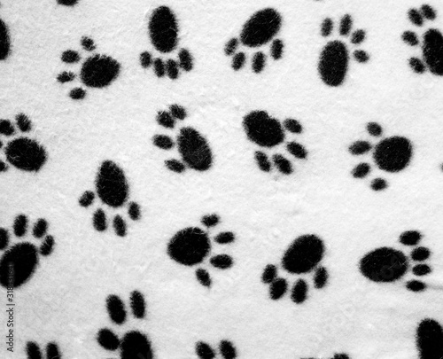 Fuzzy cat print background in black and white