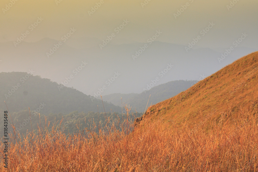 Golden meadow and mountains during sunset. Beautiful natural landscape in the winter time,thailand
