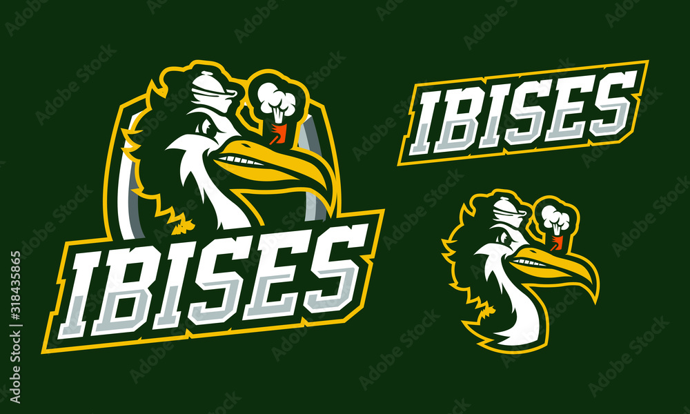 Ibis bird mascot logo design isolated on dark green background Ibis bird mascot logo design isolated on dark green background