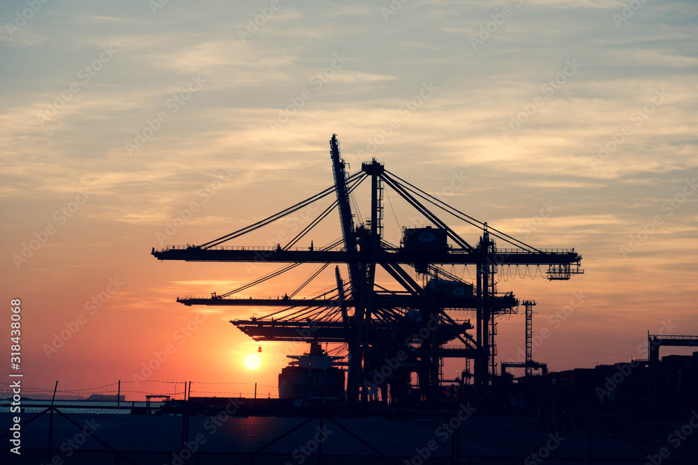 Harbor Freight Perspective for Import and Export Harbor Freight Perspective for Import and Export