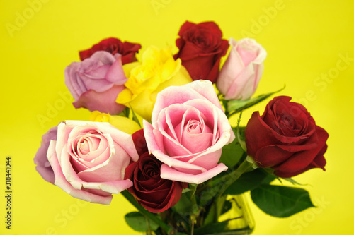 bouquet of roses on yellow background