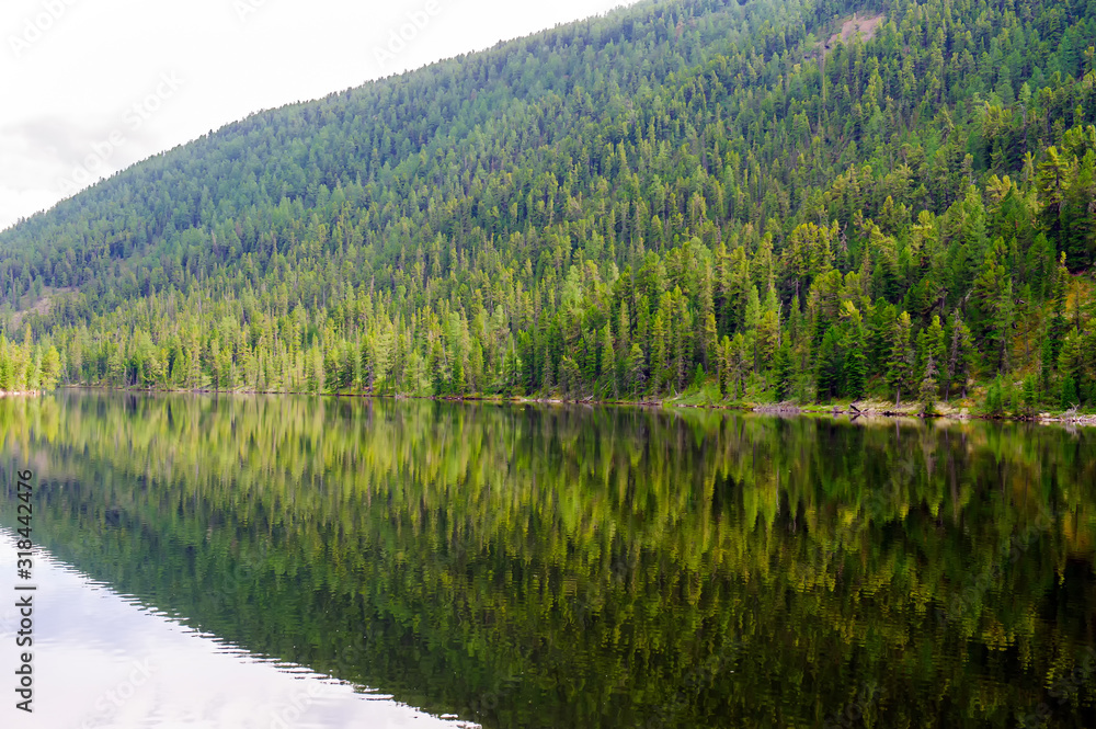 Mountain slope covered with green coniferous forest is reflected in the lake with calm smooth water. Secluded area in the mountains. Natural background.