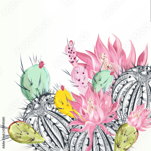 Beautiful vector illustration with cactus plants and flowers