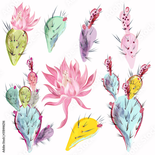 Collection of beautiful vector cactus flowers in watercolor style