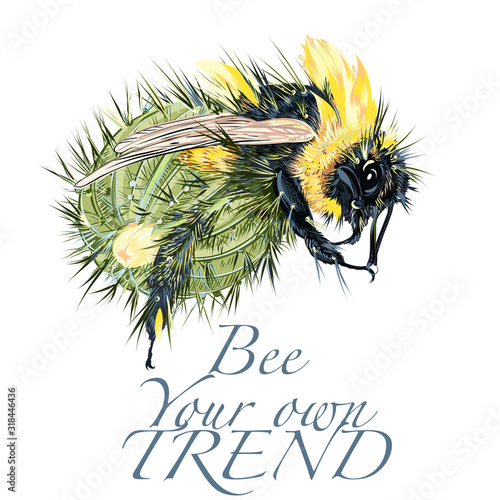 Fashion vector illustration with hybrid bee and cactus