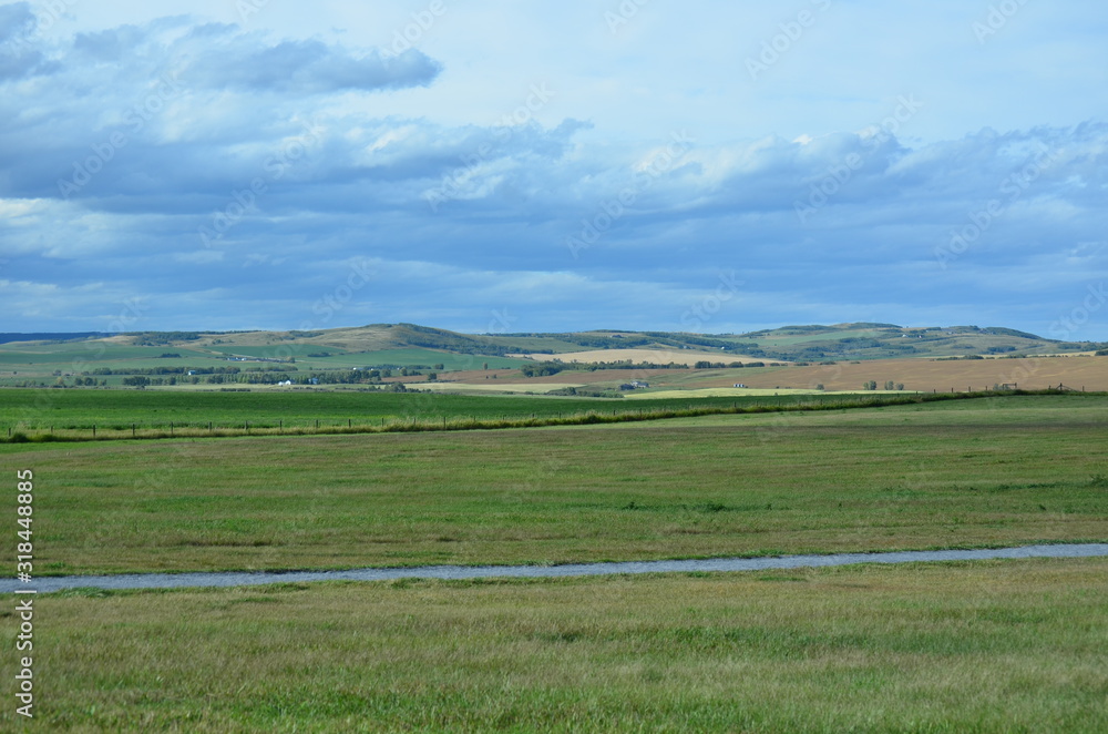 Fototapeta premium landscape, big open space with green field and blue sky