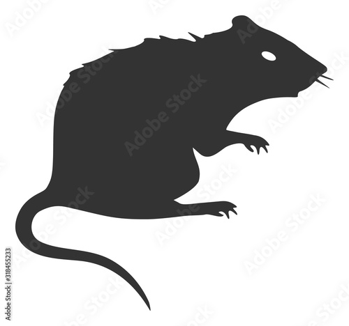 Rat vector icon. Flat Rat symbol is isolated on a white background.