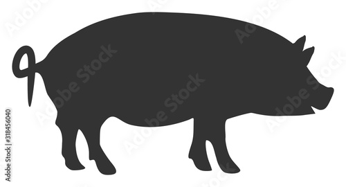 Swine vector icon. Flat Swine pictogram is isolated on a white background.