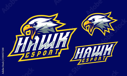 Hawk mascot logo design for sport or e-sport team isolated on blue background