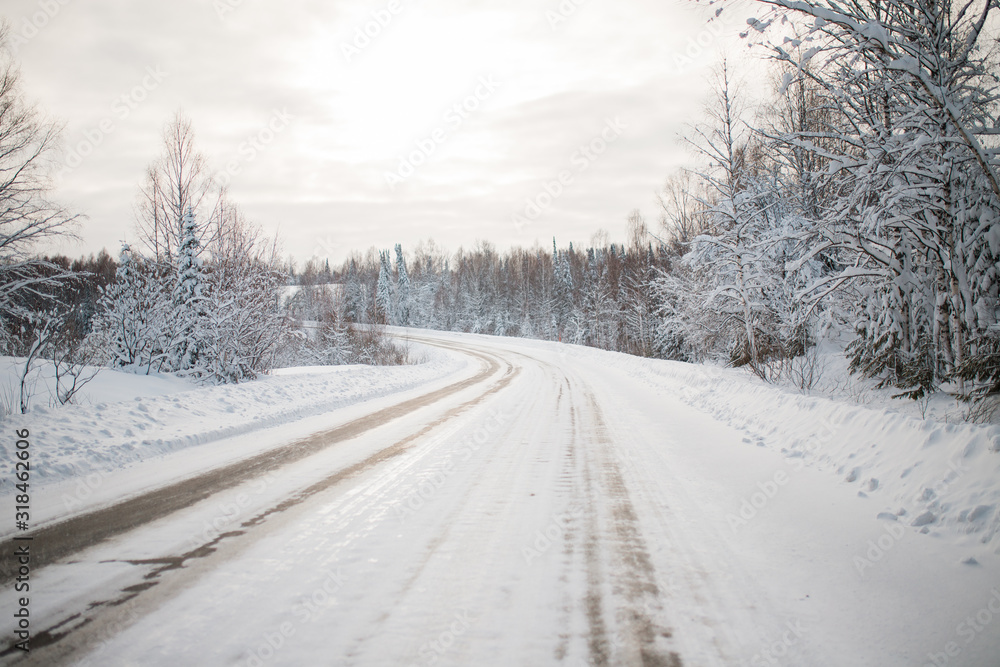 Fototapeta premium Winter forest. view of the snowy road. the snow on the trees. the sun is shining brightly. frosty morning in Siberia. snowy and slippery road.
