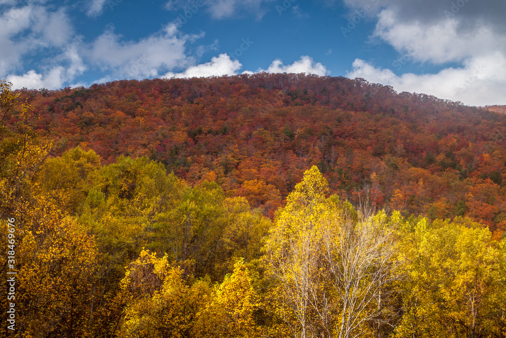 Autumn colored mountain side in the Smoky Mountains