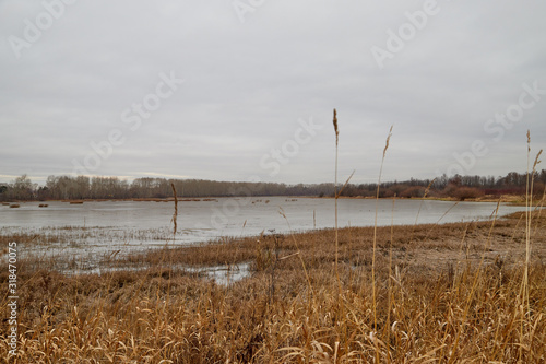 Yellow landscape in autumn cloudy day with yellow grass and lake