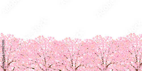 桜　春　花　背景