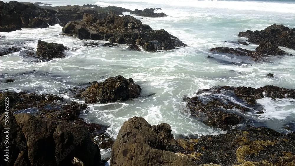 Fototapeta premium Waves Crashing