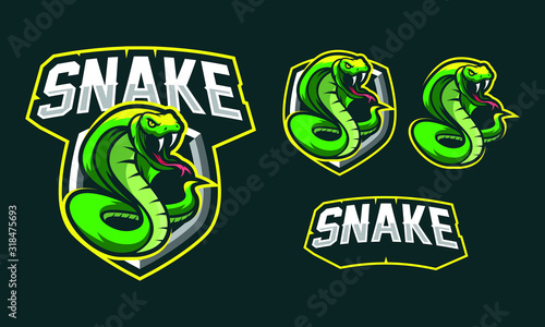 Snake mascot logo design for sport/ e-sport logo design isolated on dark background
