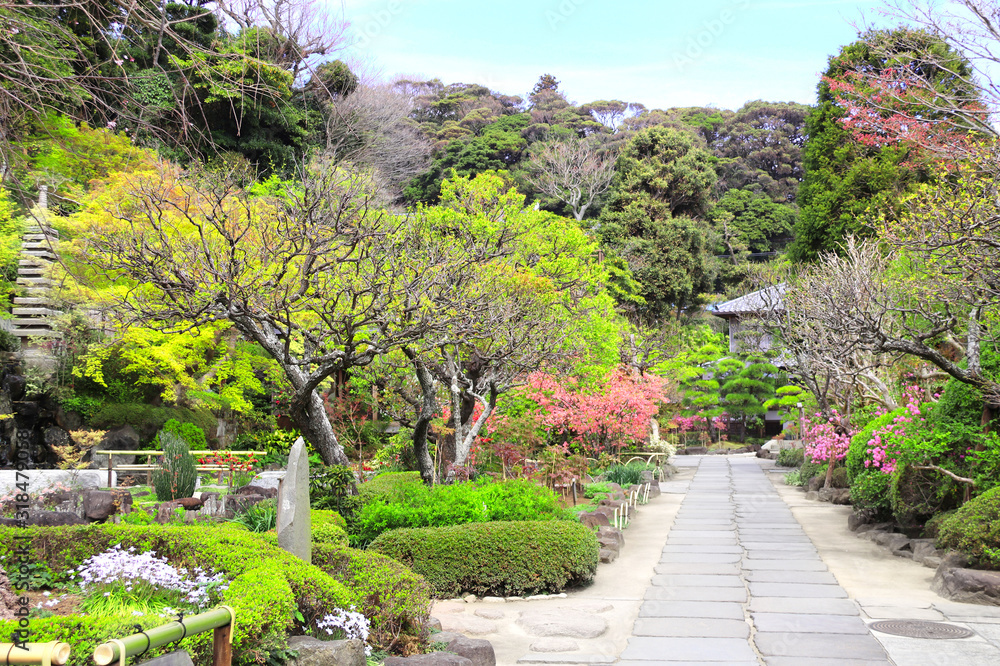 Footpath in traditional japanese garden, Kamakura, Japan Footpath in traditional japanese garden, Kamakura, Japan