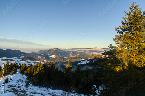Fototapeta Naklejka Na Ścianę i Meble -  Panorama zimowa z Wysokiego Wierchu (Pieniny) zimą