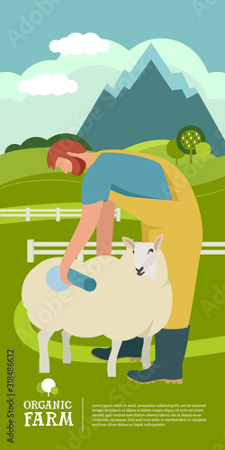 Farming today Farmer marks his sheep with blue spray for identification Organic farm Cartoon Flat Vector Illustration Banner