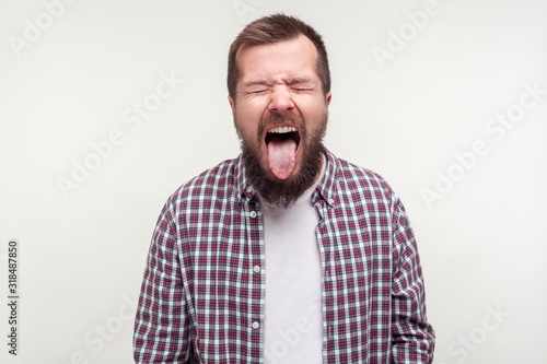 Portrait of crazy funny bearded man in plaid shirt standing with tightly closed eyes and wrinkled face, sticking out his tongue, naughty expression. indoor studio shot isolated on white background